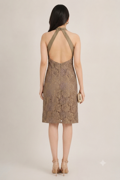 Halter-Neck Lace Overlay Sheath Dress